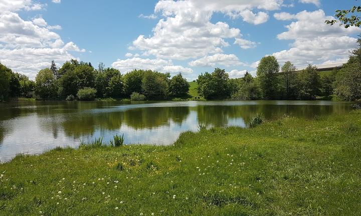 Am Schwarzen Teich